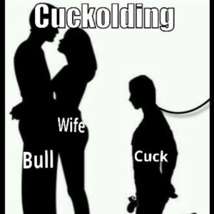 A/O Bulle sucht Paare/Ehestute sucht Bulle