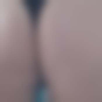 Sverigebjörn