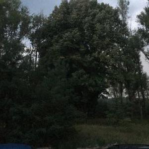 Poppen unter Sternenhimmel