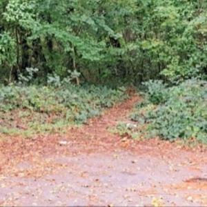 Friedrichshafen-Ost☀️