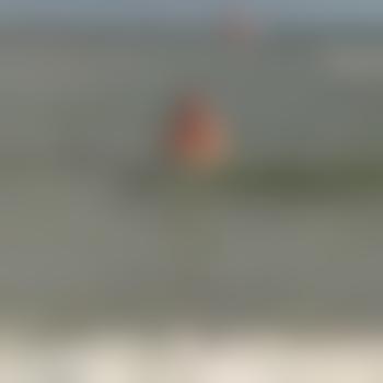 dogRE