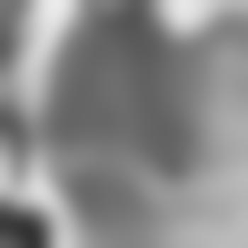 kiel21413