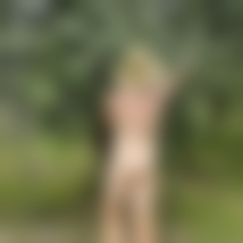 SenorDingDong