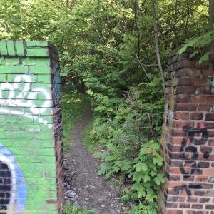 Technical University