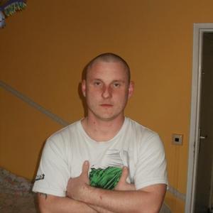 steve212