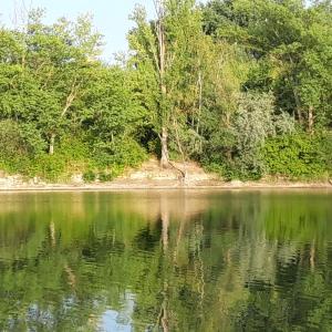 Binsfeld-See bei Speyer bzw. Otterstadt