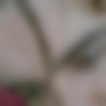 MassageJack