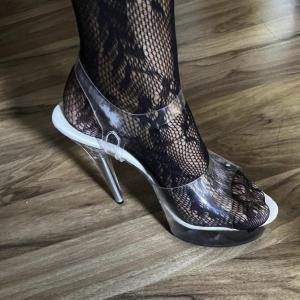 Reale Treffen TV/TS Raum Freising