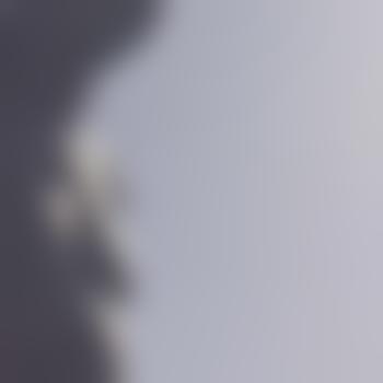 Your_Wish69