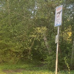 Maschen - See im Maschener Moor