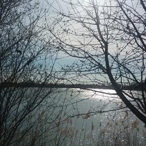 See am PP SP-Spitzenrheinhof