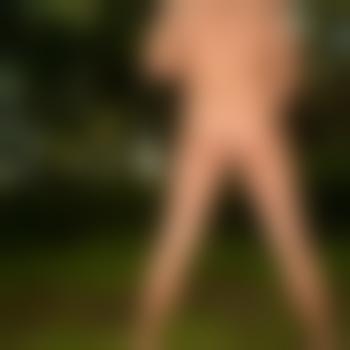 Deckhengstsex