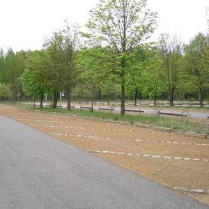 Waldparkplatz