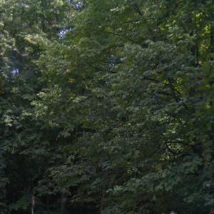 Filderauffahrt Hedelfingen / Lederberg