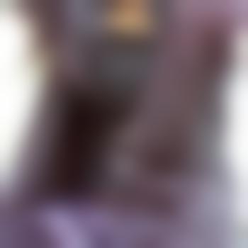 CATSböserTÜRSTOPPER