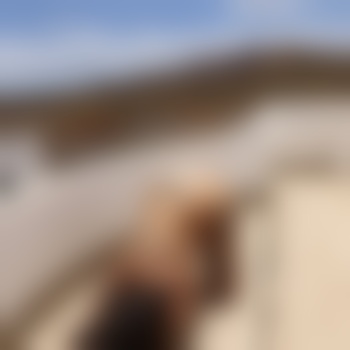 Dev_0_tion