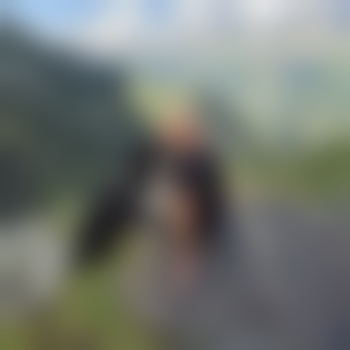 corax80