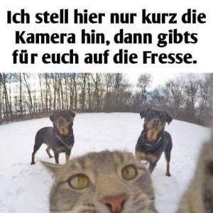 Heute wirklich schon gelacht?