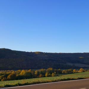 **Grill-/Sommerfete**