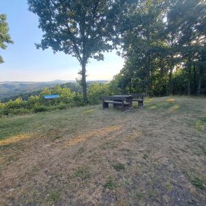 Schwanert