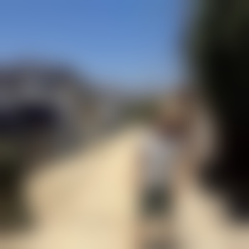 Sexstellung