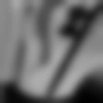 Wild_Gentleman-00