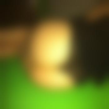 clrsl