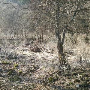 An der Mosel