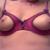 specht_169