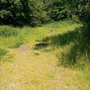 Zwischen Waltrop und Datteln