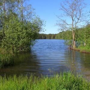 FKK am kleinen Tonteich Bestensee