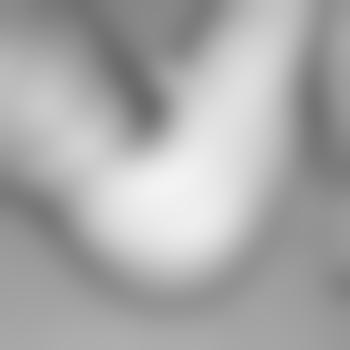 GBStutesucht