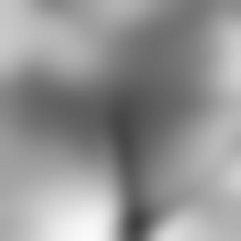 eierlegendewollmilch