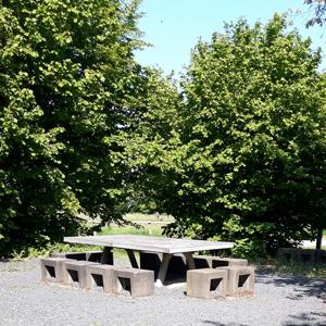 Waldparkplatz Teverenheide