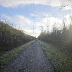 In der Nähe vom Tierheim Niederaussem