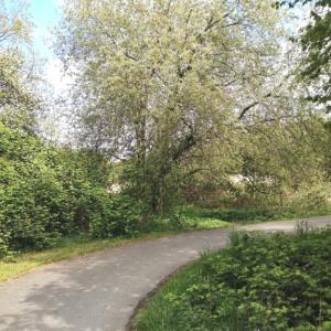 Neue Aue bei Jahnstraße Lehe