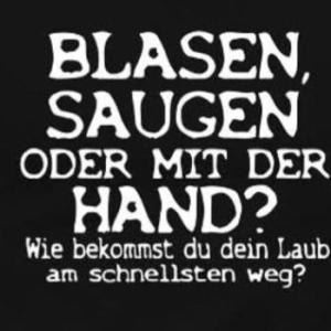 wildstreuner