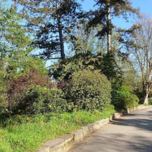Lessinghöhe Park