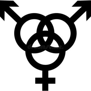 Bi in NWM