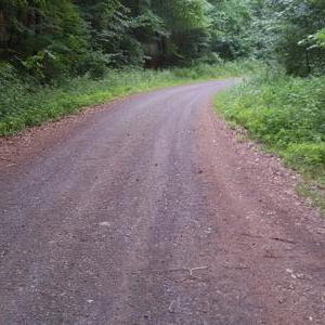 Waldweg