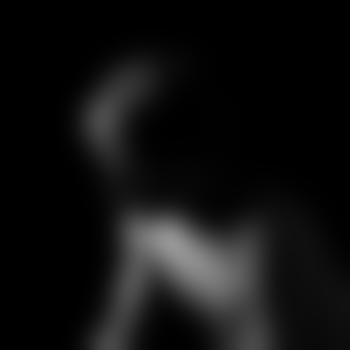 der_finne