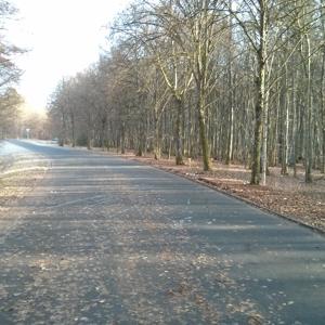 Parkplatz Bad Kissingen/Oberthulba