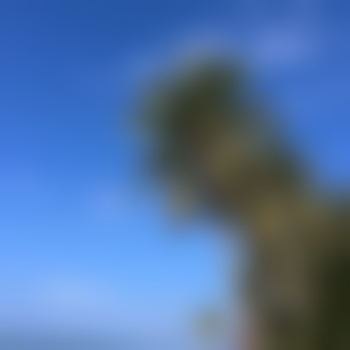 niki95