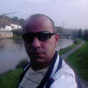hamsder