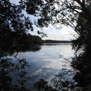 Tenderingssee