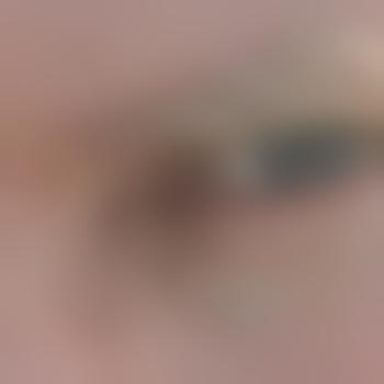 Pssst1983