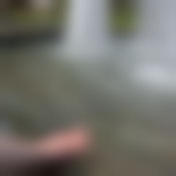 Traumpaar_Harz