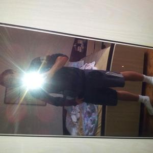 Hengst260326