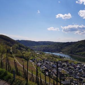 **Sommerstammi Koblenz**