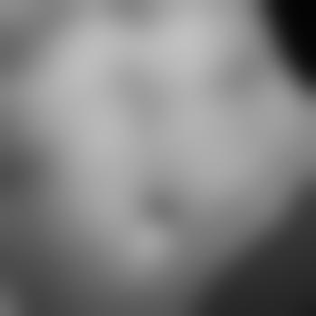 misster_van_S